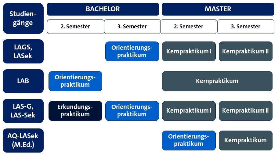 LAS: Erkundungspraktikum im 2. BA-Semester LAS, LAGS, LASek: Orientierungspraktikum (OP) im 3. BA-Semester, Kernpraktikum (KP) im 2. und 3. MA-Semester LAB: OP im 2. BA-Semester, KP im 2. und 3. MA-Semester AQ-LASek: OP im 2. und KP im 3. MA-Semester